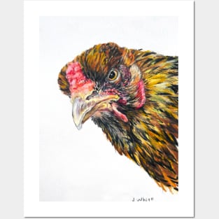 Inez the Brahma Chicken Posters and Art